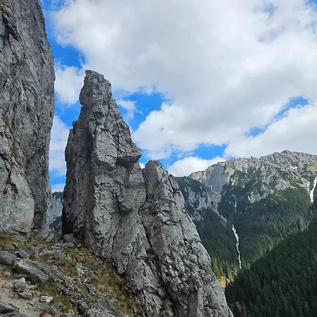 Przystanek Dolina Koscieliska Appartement Kościelisko